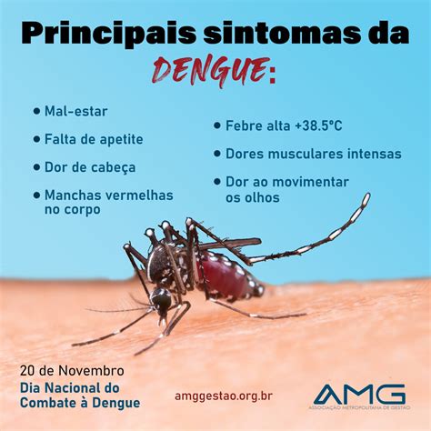 quais os sintomas da dengue